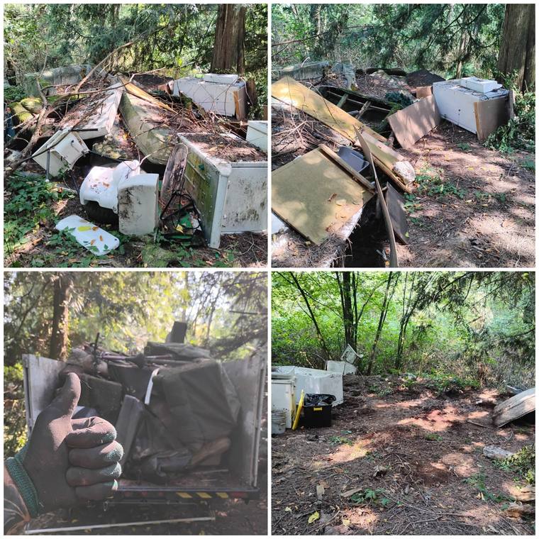Old appliances and debris cleared from a wooded lot